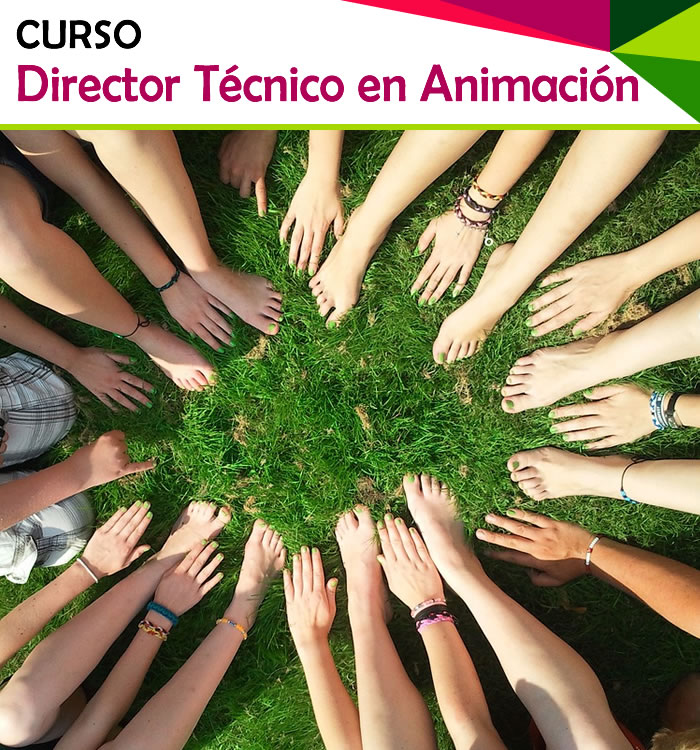 DIRECTOR_TECNICO_ANIMACION